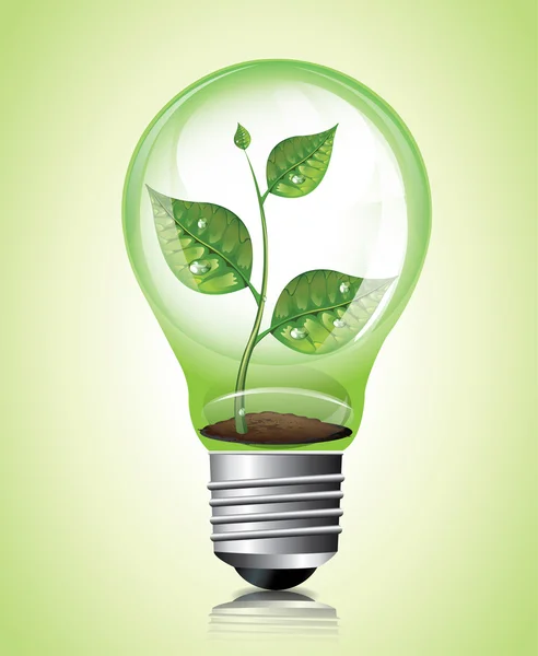 Plant in Light Bulb — Stock Vector