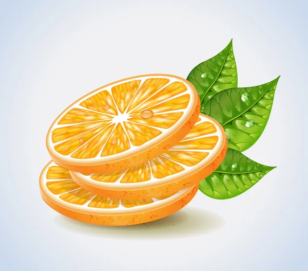 Segmentos naranjas — Vector de stock