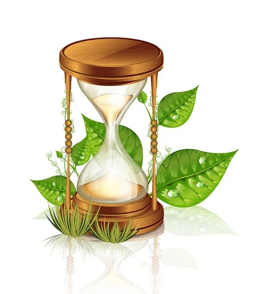 Reloj de arena y plantas — Vector de stock