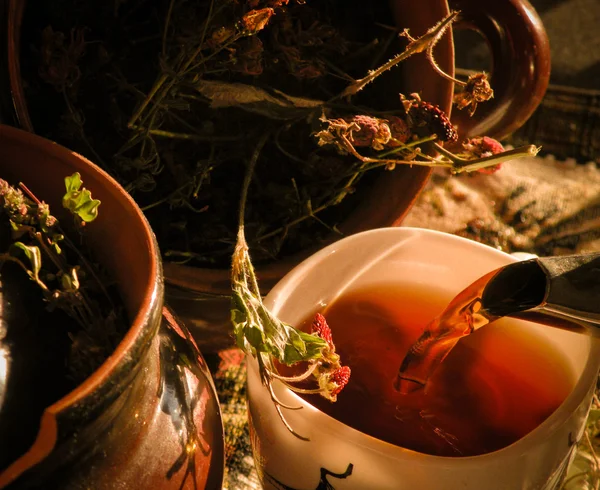 Tè alla fragola nella tazza — Foto Stock