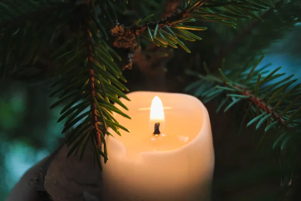 Candle and a Spruce branch — Stock Photo, Image