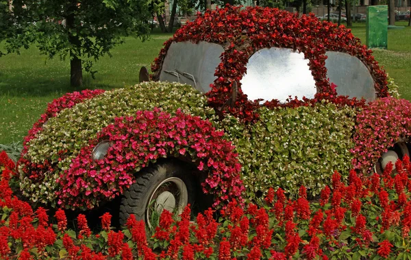 Kwitnący samochodu w parku — Zdjęcie stockowe