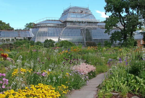 Botanical Gardens in Petersburg — Stock Photo, Image