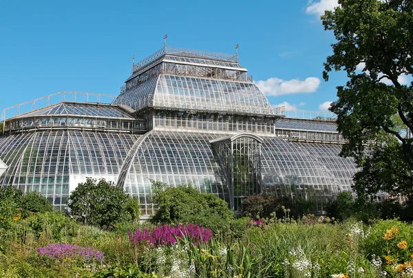 Glasbau im Botanischen Garten in Petersburg — Stockfoto