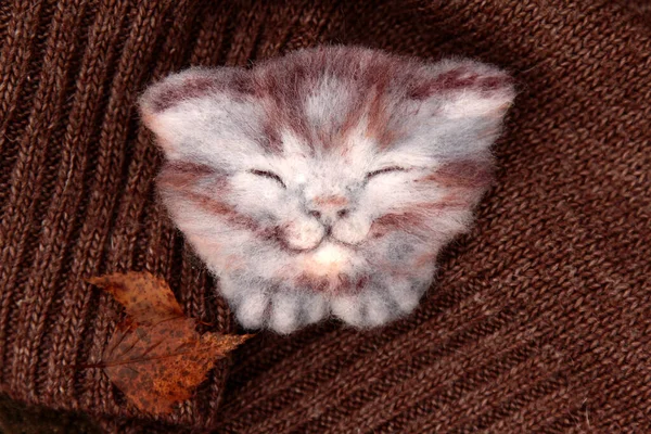 Sleeping Cat Brooch Knitted Background Wool Kitten Brooch Handmade Animal — Stock Photo, Image
