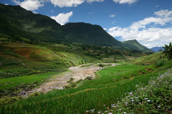 Dağ nehri — Stok fotoğraf