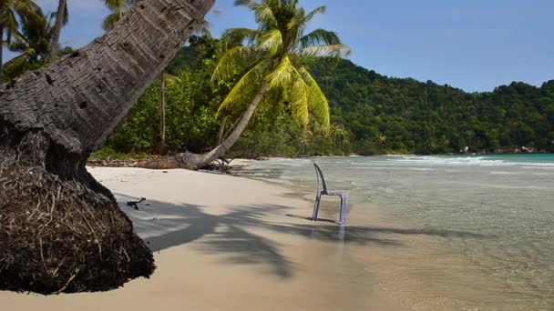 Vacantes en la playa — Vídeos de Stock