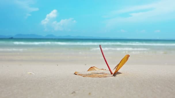 Onde sulla spiaggia di sabbia bianca, su uno sfondo di cielo blu con nuvole e montagne . — Video Stock