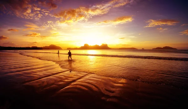 Capturadores de sol — Foto de Stock