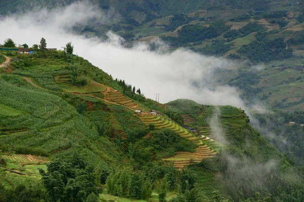 Manhã nebulosa nas montanhas de Sapa — Fotografia de Stock