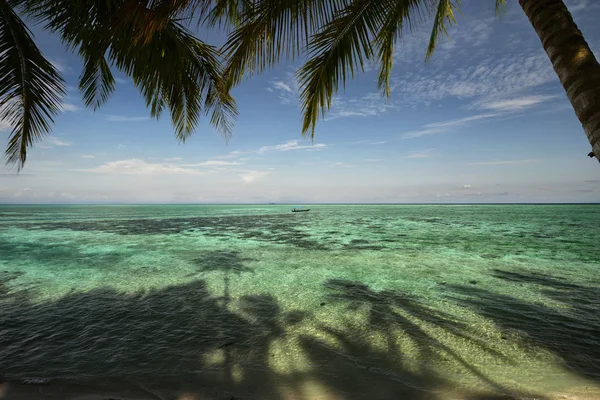 Praia tropical com palmeiras e céu azul — Fotografia de Stock