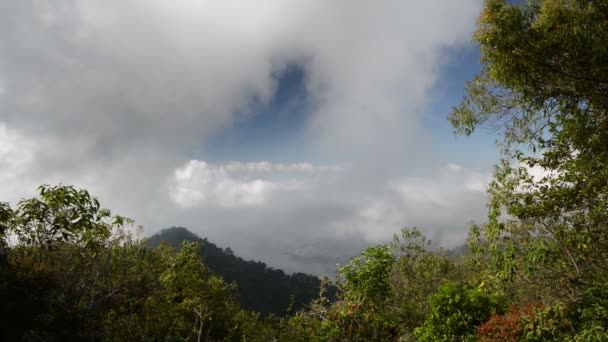 Floating clouds in the mountains of Park Montecristo — Stock Video