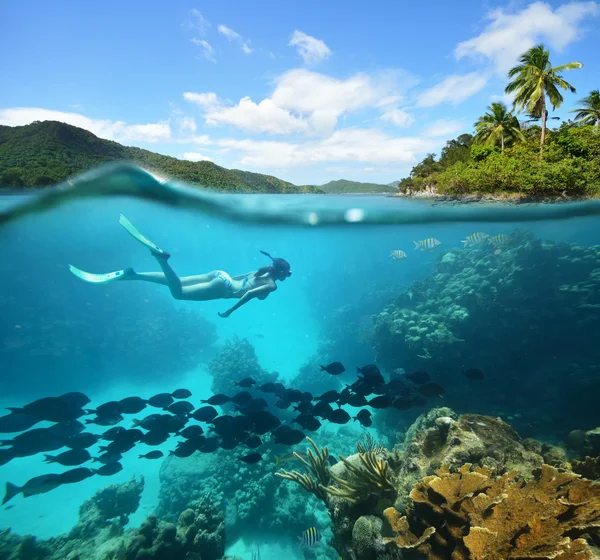 Wunderschönes Korallenriff mit vielen Fischen und einer Frau Stockfoto