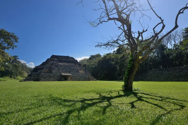 Piramide e vecchio albero appassito nel Parco Archeologico El Puente i — Foto Stock