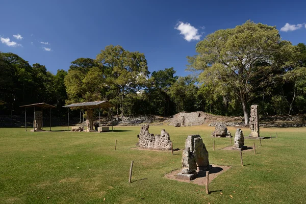 Muitas estelas ao ar livre na antiga cidade maia de Copan i — Fotografia de Stock