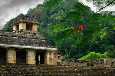 The ruins of the ancient Mayan city of Palenque, Mexico clipart