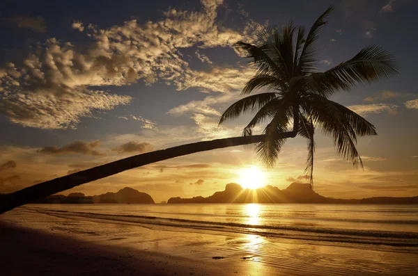 Prachtige zonsondergang op de achtergrond van de eilanden met palmboom — Stockfoto