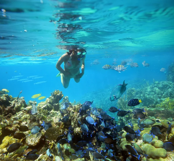 Onderwateravontuur vrouw op koraal rif — Stockfoto