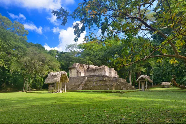 Pyramides et Stella dans le parc archéologique Cebal au Guatemala — Photo