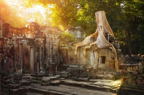 Op de ruïnes van preah khan tempelcomplex in Cambodja — Stockfoto