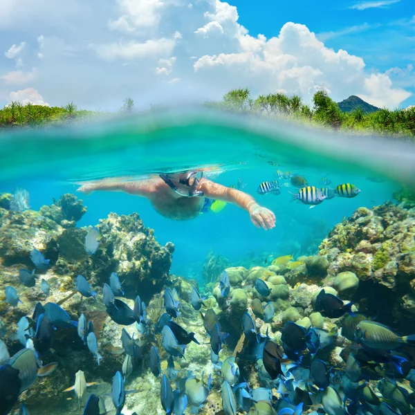 Snorkelaar duiken langs het mooie koraalrif — Stockfoto