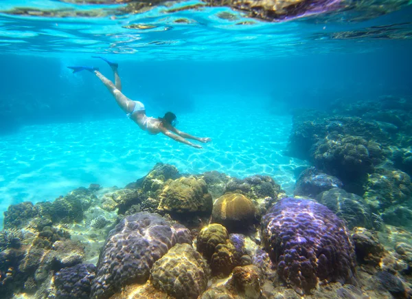 Женщина ныряет с маской в красивом коралловом рифе с большим количеством рыбы — стоковое фото