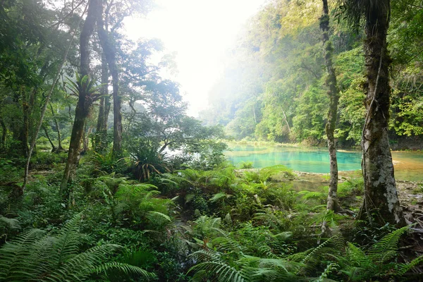 Parque Nacional das Cascatas na Guatemala Semuc Champey ao pôr do sol . — Fotografia de Stock