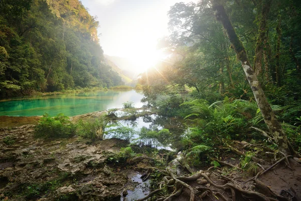 Paisagem floresta tropical Parque Nacional na Guatemala Semuc Champey a — Fotografia de Stock