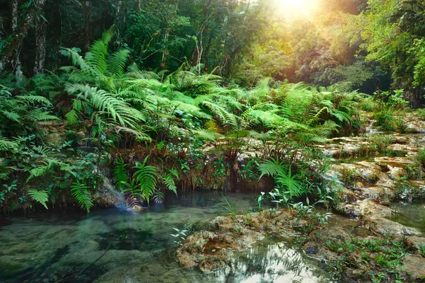 Parque Nacional das Cascatas na Guatemala Semuc Champey ao pôr do sol . — Fotografia de Stock