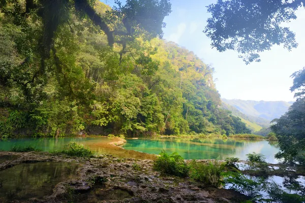 Μυστηριώδη Μάγια ζούγκλα σε το εθνικό πάρκο semuc champey ως — Φωτογραφία Αρχείου