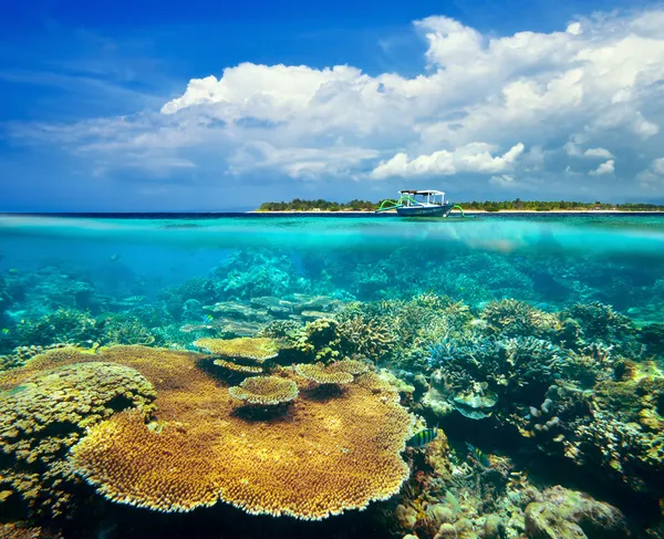 Belo recife de coral no fundo Gili Meno Island — Fotografia de Stock