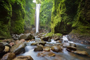 Waterfall on the island of Negros Casaroro. Philippines clipart