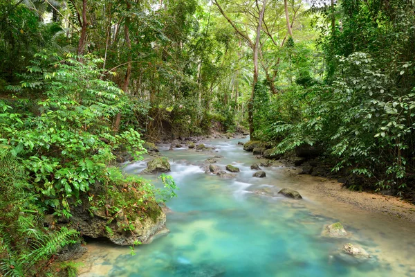 Tropikal yağmur ormanları ve nehir. — Stok fotoğraf
