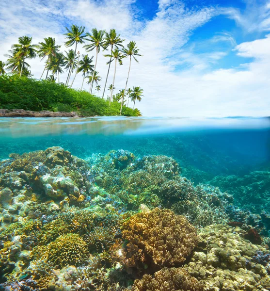 Recife de coral no fundo do céu nublado e ilha — Fotografia de Stock