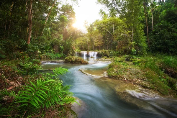 Deep forest waterfall  National Park — Stock Photo, Image