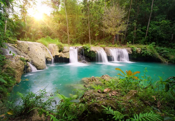 Parque Nacional da Cachoeira Florestal . — Fotografia de Stock