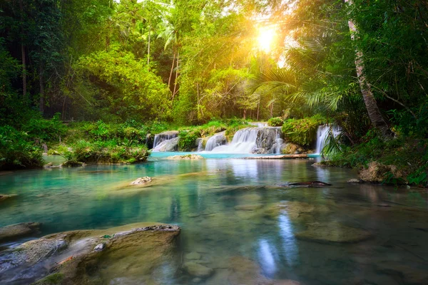 Deep forest waterfall  National Park — Stock Photo, Image