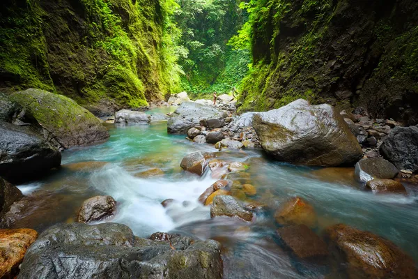 Yağmur ormanı kanyonda üzerinden günbatımı — Stok fotoğraf