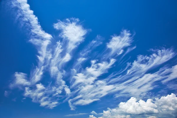 Abstract feather clouds — Stock Photo, Image