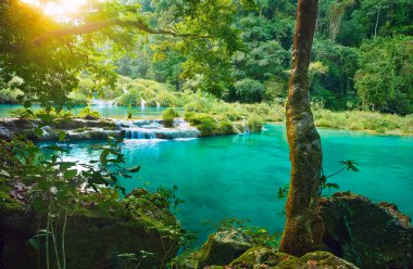 Cascades National Park in Guatemala Semuc Champey at sunset clipart