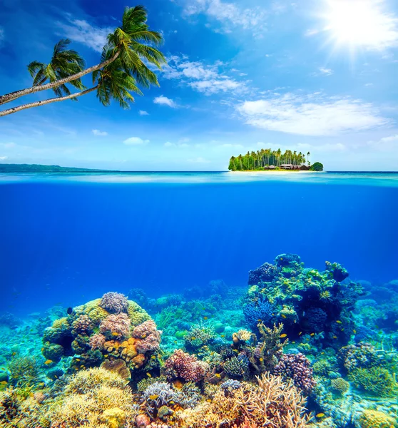 美しいサンゴ礁の小さな島の背景 ストック写真