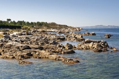 Mallon cape arousa Adası