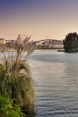 Lérez River