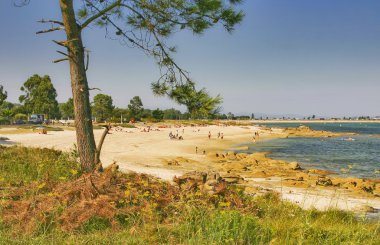 xastelas plaj arousa Adası