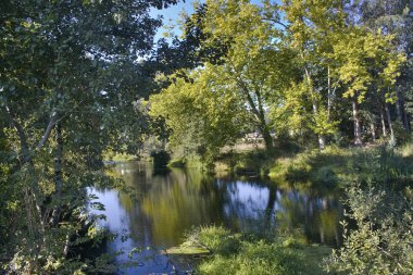pontearnelas Nehri'nde Umia