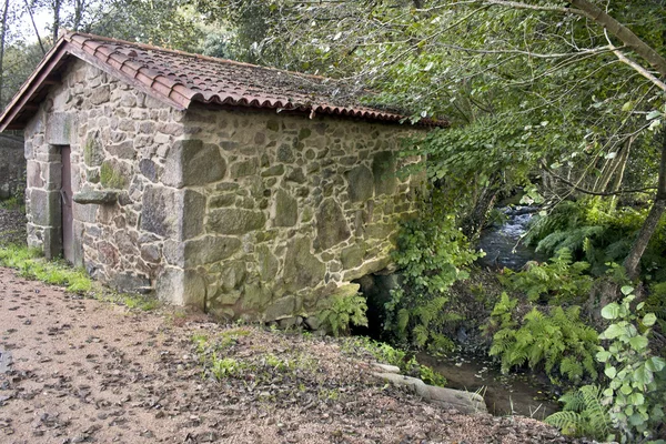 Watermolen — Stockfoto