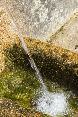 Fuente natural de Los Milagros de Amil