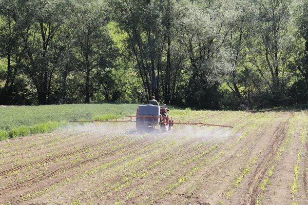 Spraying corn2 — Stock Photo, Image