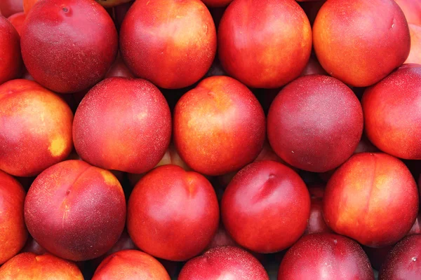 Nectarines — Stock fotografie