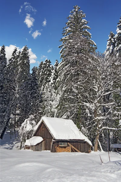 Chata w śniegu — Zdjęcie stockowe